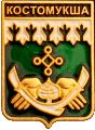    \Arms\Kareliya_respublika\kostomuksha_rf3_zn.gif