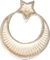    \Arms\Turtsiya\turtsiya-gerb_zn.gif