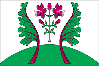 �� ������ ���� ������/ProHer_r2.files/kazanovo_f2.gif