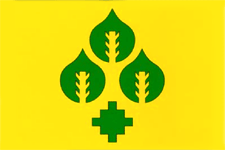 �� ������ ���� ������/ProHer_r4.files/anastasovo_f1.gif