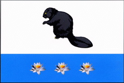    /ProHer_r4.files/bobrovka-samarskaya_f1.gif