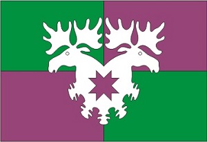 �� ������ ���� ������/ProHer_r4.files/yunginskoe_f1.jpg