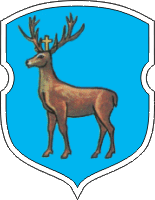    /RF_Belorussia/Grodno_Reg/Files/tsirin_rp1.gif