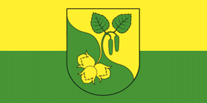    /RF_Belorussia/Vitebsk_Reg/Files/orehovsk_f1.gif