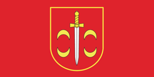    /RF_Belorussia/Vitebsk_Reg/Files/tolochinski_c_f1.gif