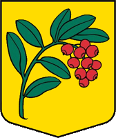    /RF_Latviya/Madonas_novads/Files/metrienas_pagasts_lat1.gif