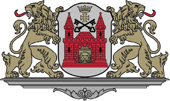    /RF_Latviya/Riga/Files/riga_lat2.gif