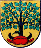    /RF_Latviya/Valmiera/Files/valmiera_r2.gif