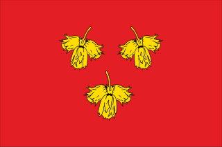    /RF_Rossia/Belgorod_Reg/Files/krasnenski_c_f1.png