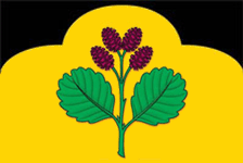    /RF_Rossia/Belgorod_Reg/Files/olshanka_f1.gif