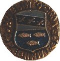    /RF_Rossia/Belgorod_Reg/Pins/novyi-oskol_r2_zn.gif