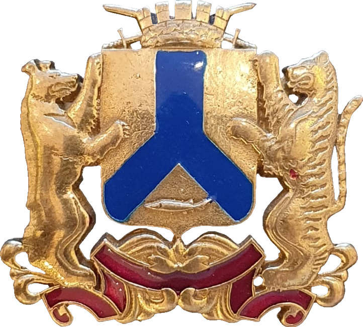 �� ������ ���� ������/RF_Rossia/Habarovski_Reg/Pins/habarovsk_rf2_zn.png