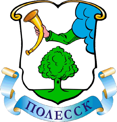 Не найден файл ПроГер/RF_Rossia/Kaliningrad_Reg/Files/polessk_rf2.gif