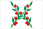    /RF_Rossia/Lipetsk_Reg/Files/chaplygin_f1.gif