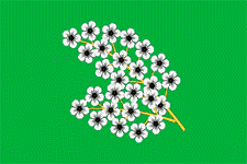    /RF_Rossia/Moskva_Reg/Files/cheryomushki_f1.gif