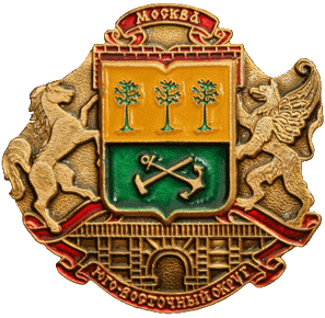    /RF_Rossia/Moskva_Reg/Pins/yugo-vostochnyi_ao_rf2_zn.gif