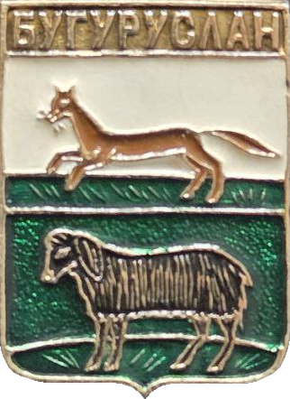 �� ������ ���� ������/RF_Rossia/Orenburg_Reg/Pins/buguruslan_r2_zn.png