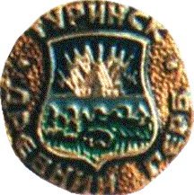 �� ������ ���� ������/RF_Rossia/Sverdlovsk_Reg/Pins/turinsk_r3_zn.png