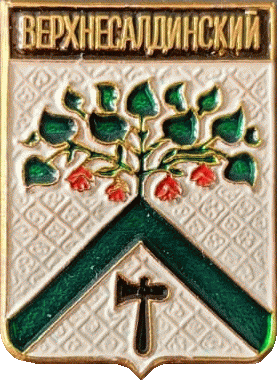 �� ������ ���� ������/RF_Rossia/Sverdlovsk_Reg/Pins/verhnesaldinski_c_rf1_zn.gif