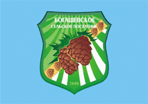   /RF_Rossia/Tomsk_Reg/Files/bogashyovskoe_f1.gif