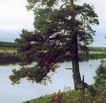    /RF_Rossia/Tula_Reg/Files/aleksinski-tulskaya_c_pic.jpg