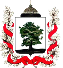    /RF_Rossia/Vladimir_Reg/Files/kovrovski_c_rf1.gif