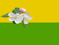    /RF_Ukraina/Hmelnitski_Reg/Files/novyi-glebov_f1.jpg